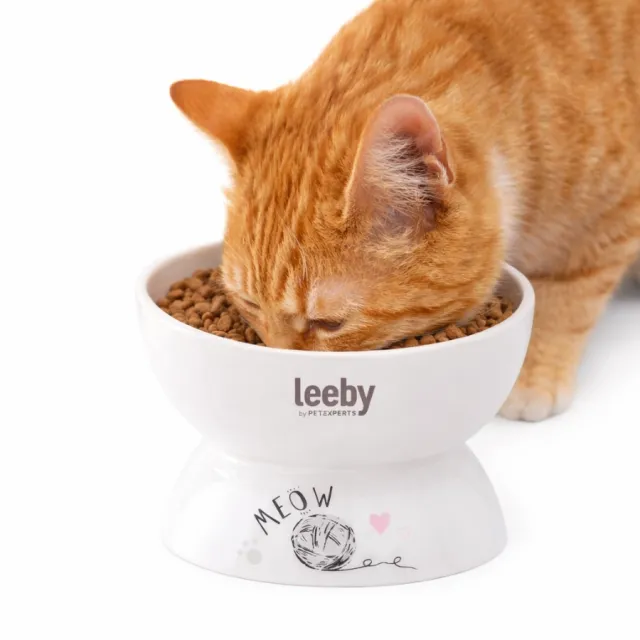 Tazón Elevado Cerámico Para Gato Leeby 300 Ml
