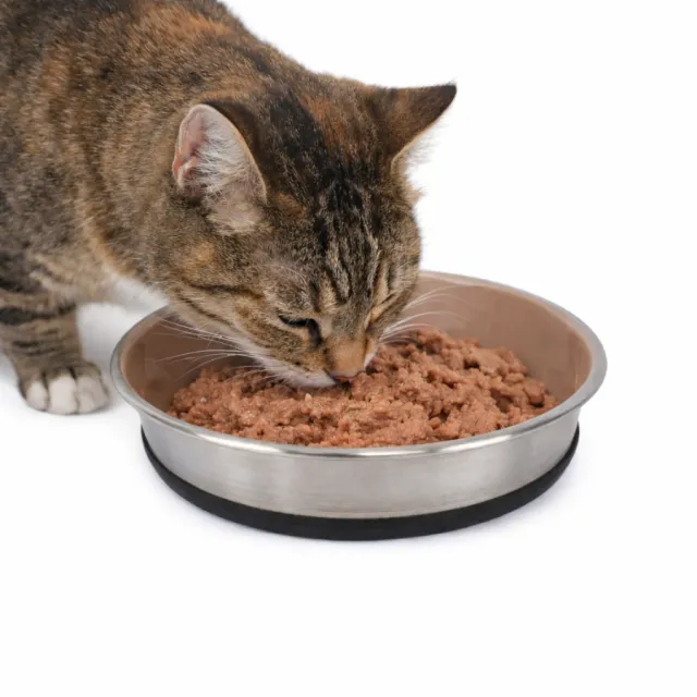 Tazón Para Gato 480 Ml