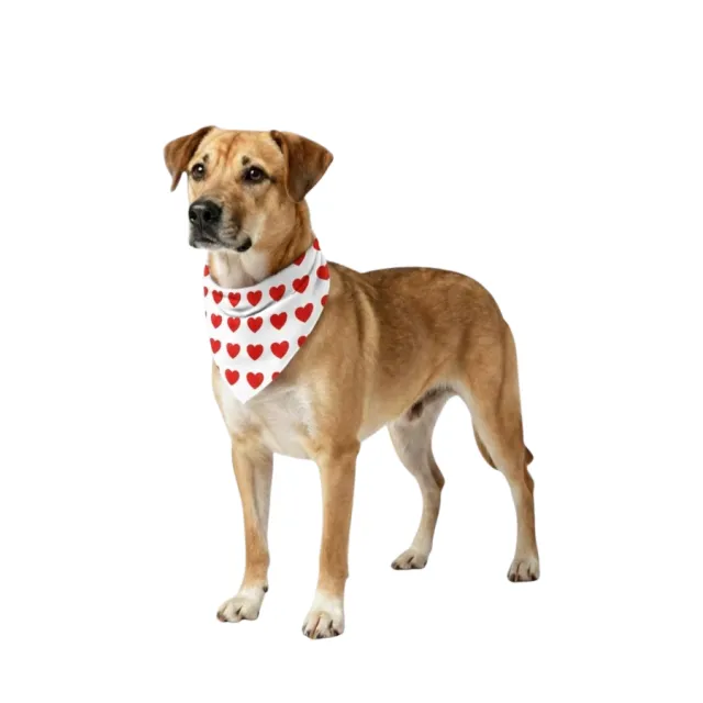 Valentines Paws Bandana Mas Pañoleta Talla M